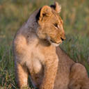 Avatar de l’utilisateur